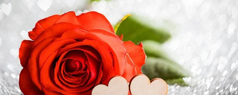 英文情侣网名大全 好听的情侣网名英文版