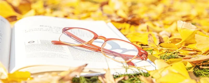 实质重于形式原则是什么 实质重于形式是指