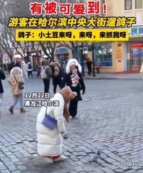 南方小土豆的梗是什么意思