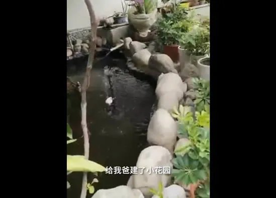 女儿为植物人父亲打造花园 和爸爸一起15年是最幸福的