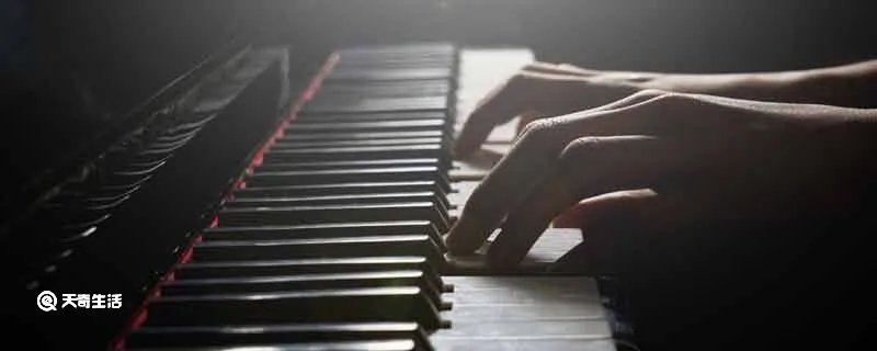 钢琴的黑白键宽度一样吗