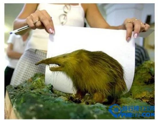 世界上最恐怖的动物排行榜