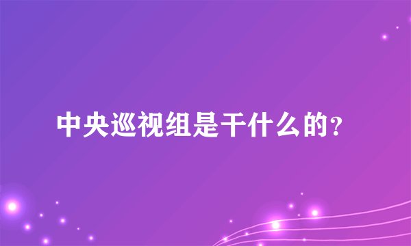 中央巡视组是干什么的？