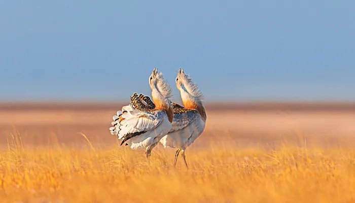 清水河县属于哪个市