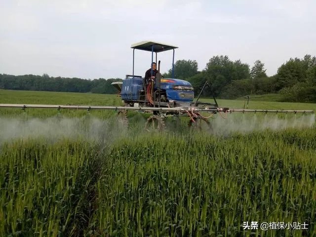 尿素做叶面肥，浓度多少合适？