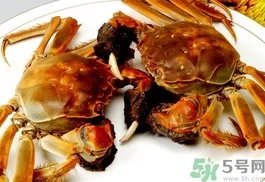 大闸蟹公的好还是母的好?大闸蟹公的好吃还是母的好吃?