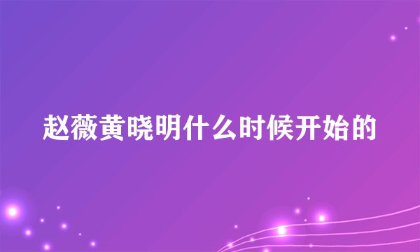 赵薇黄晓明什么时候开始的