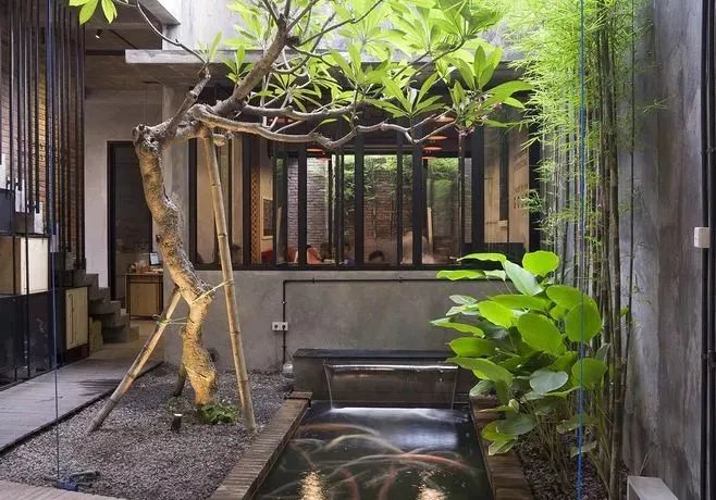 民宿里的慢时光