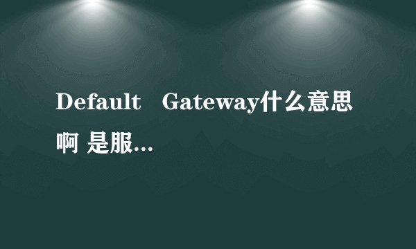 Default   Gateway什么意思啊 是服务器地址吗