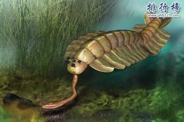 史前十大最怪异生物，如同漫画中的奇怪生物