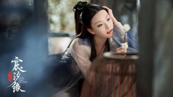 如何评价《宸汐缘》最后几集？