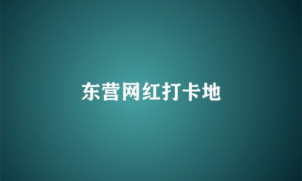 东营网红打卡地
