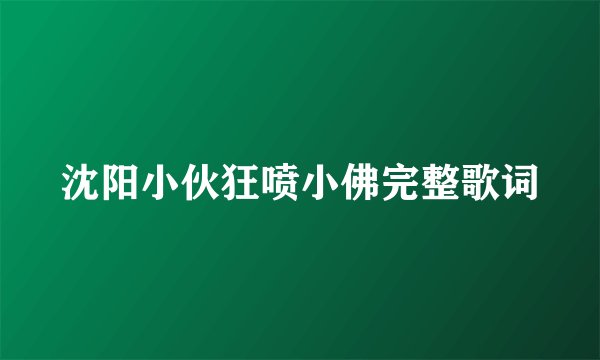 沈阳小伙狂喷小佛完整歌词
