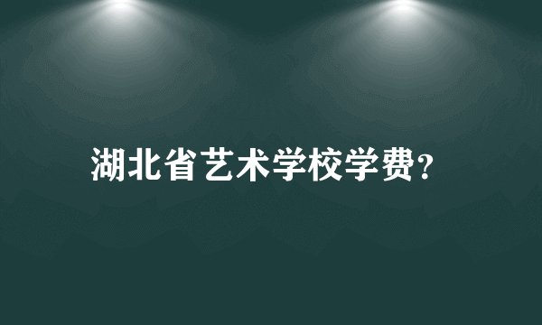 湖北省艺术学校学费？