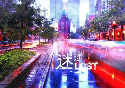 命余三月(完本小说)云意陆晋全文免费阅读