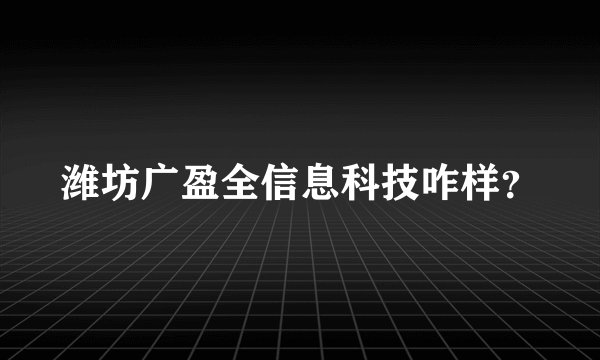 潍坊广盈全信息科技咋样？