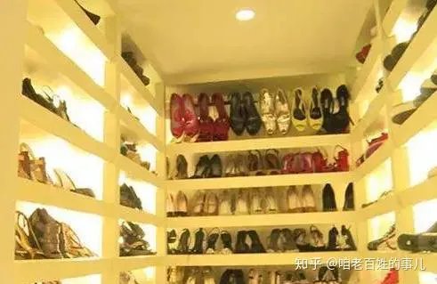 张庭林瑞阳夫妇，到底干什么？