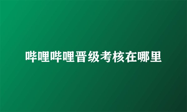 哔哩哔哩晋级考核在哪里