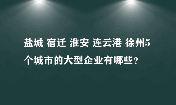盐城 宿迁 淮安 连云港 徐州5个城市的大型企业有哪些？