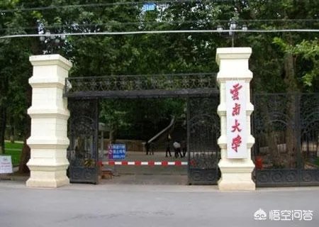 进入世界一流大学建设高校的非985学校有哪些？