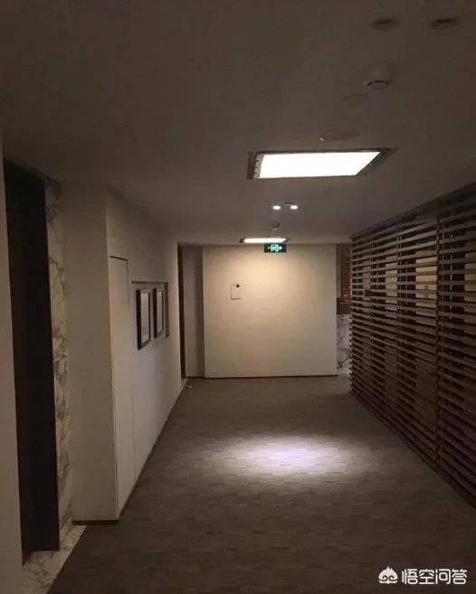 退役的狙击手都不会去参加奥运会吗？为什么？