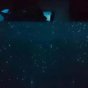 揉脸党的揉脸党概述