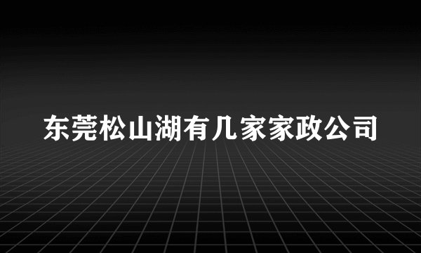 东莞松山湖有几家家政公司