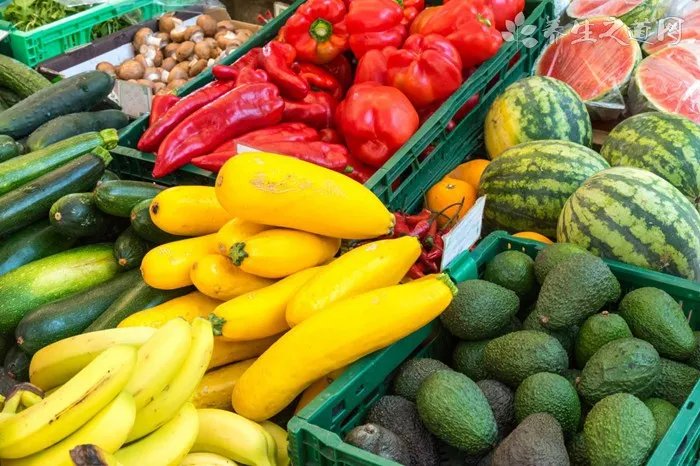 秋天该吃些什么才对身体有好处