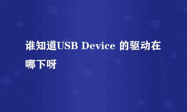 谁知道USB Device 的驱动在哪下呀
