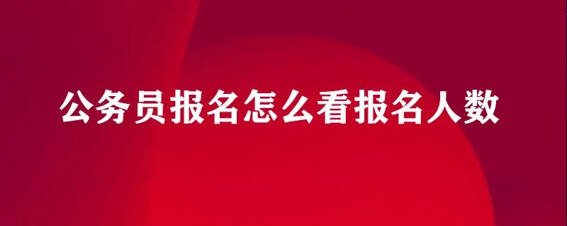 公务员报名怎么看报名人数
