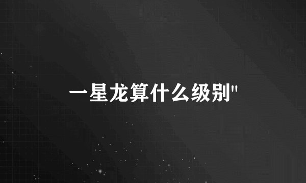 一星龙算什么级别