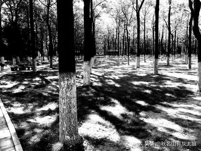 郑州升达经贸管理学院怎么样?