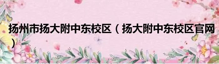 扬州市扬大附中东校区（扬大附中东校区官网）