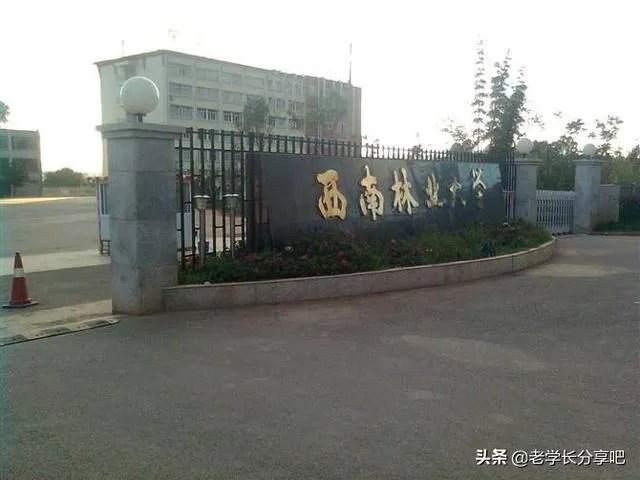 西南林业大学怎么样啊？