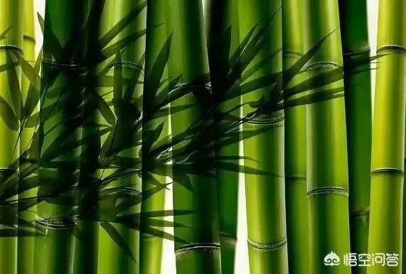 儿女对父母不管不问、一点不尽孝，应该把他们送上法庭吗？