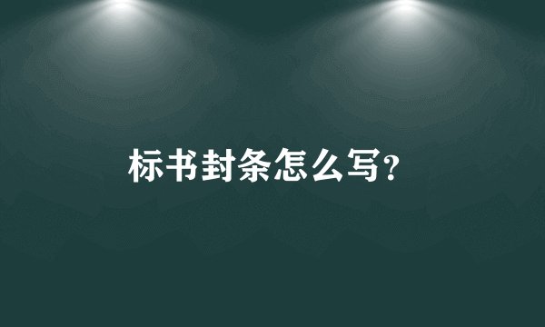 标书封条怎么写？