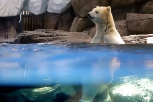 武汉海洋馆和海洋公园哪个好玩