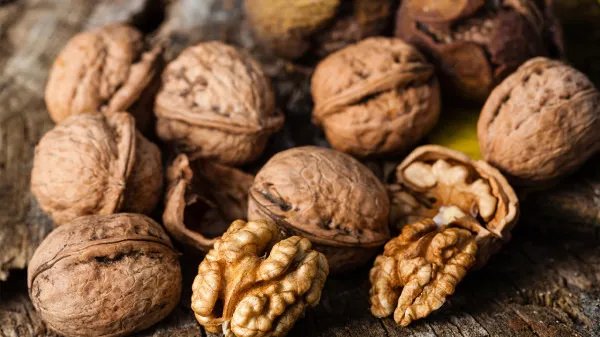 女人身体怕冷吃什么好