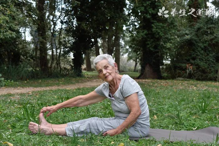 菲比纸尿裤型号