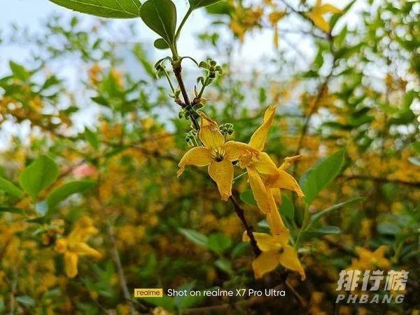 真我x7pro至尊版和真我x7pro有什么区别_真我x7pro至尊版和真我x7pro区别对比