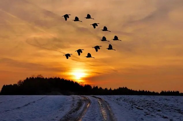 2020三九从哪天开始算 今年三九第一天是几号