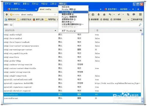 about:config 如何设置