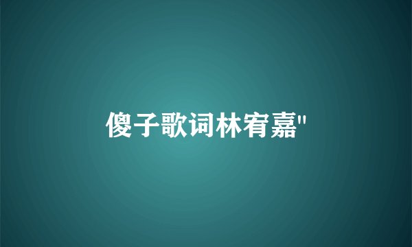 傻子歌词林宥嘉