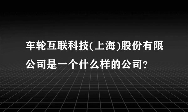 车轮互联科技(上海)股份有限公司是一个什么样的公司？