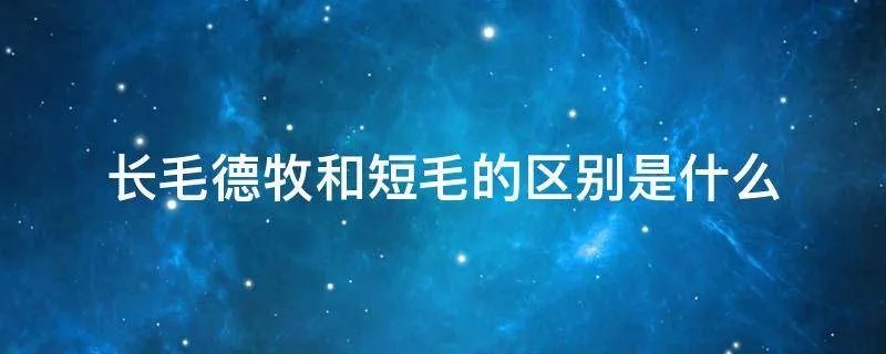 长毛德牧和短毛的区别是什么