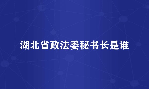湖北省政法委秘书长是谁