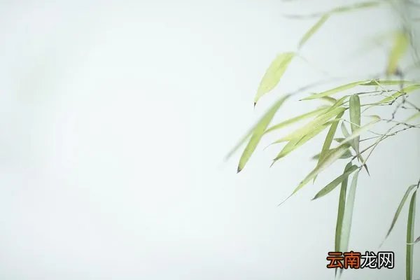 胸有成竹的主人公是谁 胸有成竹成的意义