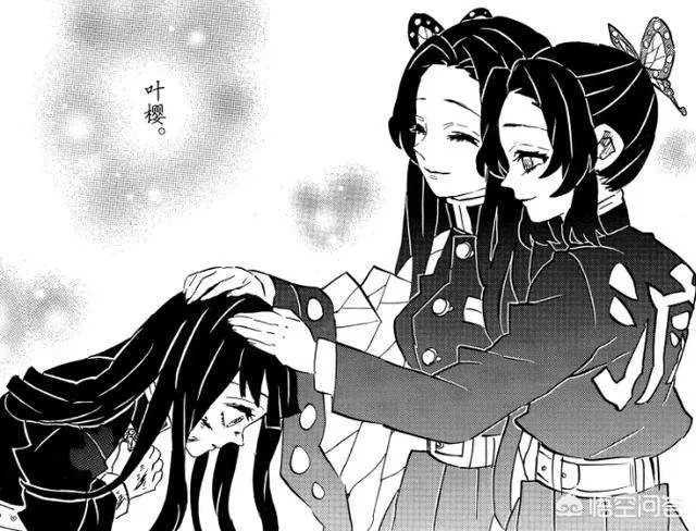 鬼灭之刃202话情报说了什么，炭之郎变回人了吗？