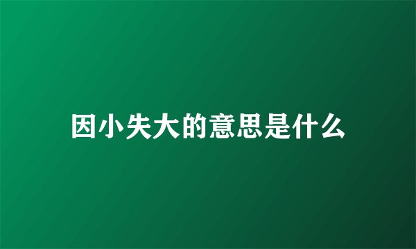 因小失大的意思是什么