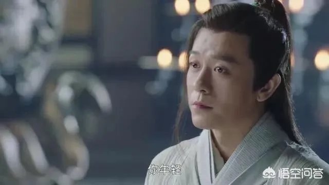 大家喜欢新版《倚天屠龙记》里杨逍吗？